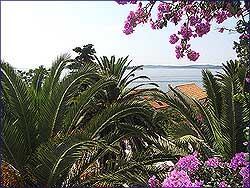 orebic urlaub, urlaub in orebic, urlaub halbinsel peljesac, halbinsel peljesac urlaub